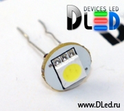   Светодиод smd 5050 комплект + 1 с усиками